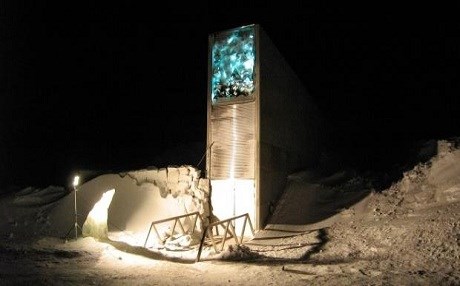 'Kıyamet kütüphanesi' kuruldu