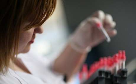 KUDUZ ALARMI - Salatadan yarasa çıktı!