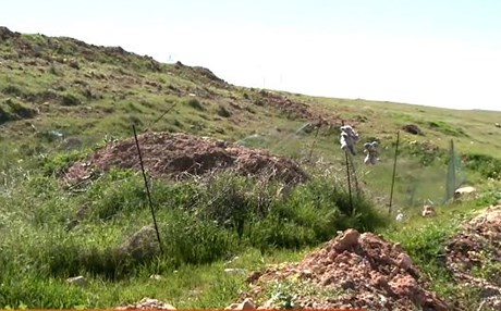 31 گۆڕی بەكۆمەڵ لە شنگال دۆزراونەتەوە