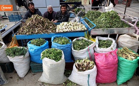 FOTO - Doğu Kürdistan’da bitki pazarı