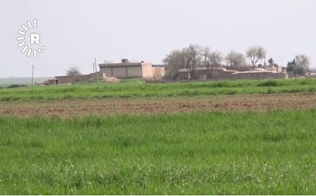 Rojava’da pamuk üretimi azalıyor