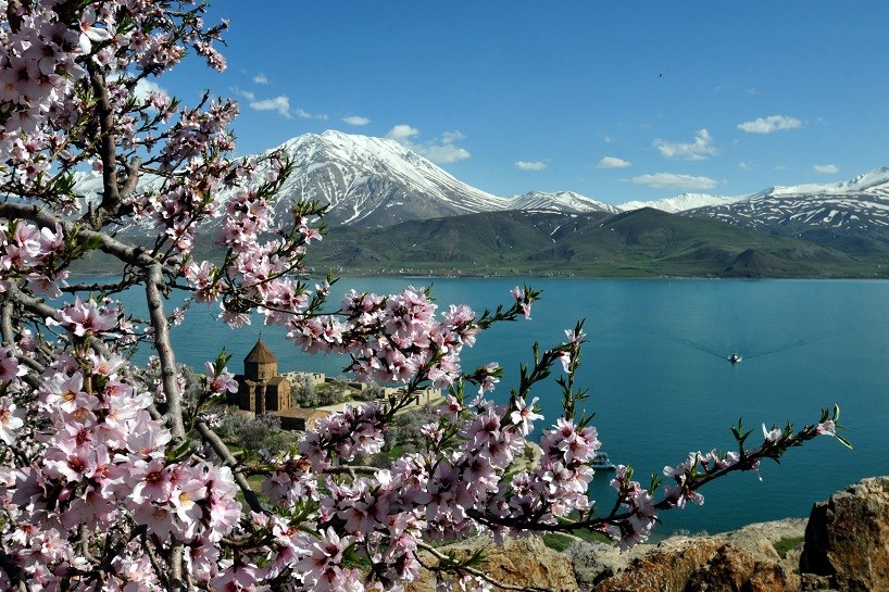 Akdamar Adası çiçekleriyle büyülüyor