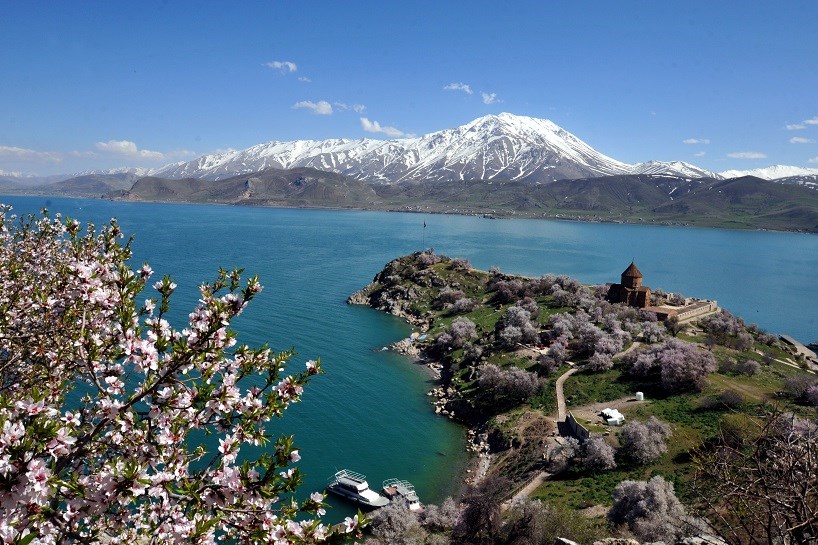 WÊNE / WAN - Girava Axtamar bi kulîlkên buharî xemilî