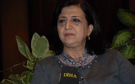 Sînem Mihemed: Ji bilî YPGê em ti hêzeke din qebûl nakin
