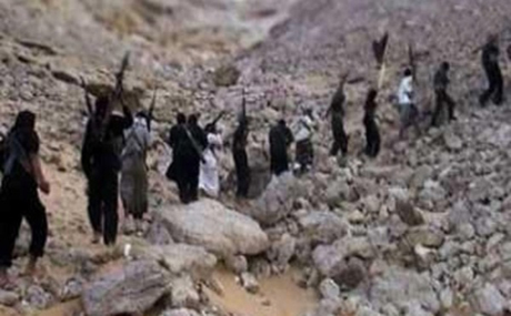 نووسه‌رێكی سعودی‌ به‌شێوه‌یه‌كی‌ دیكه‌ مێژووی‌ قاعیده‌ ده‌گێڕێته‌وه‌