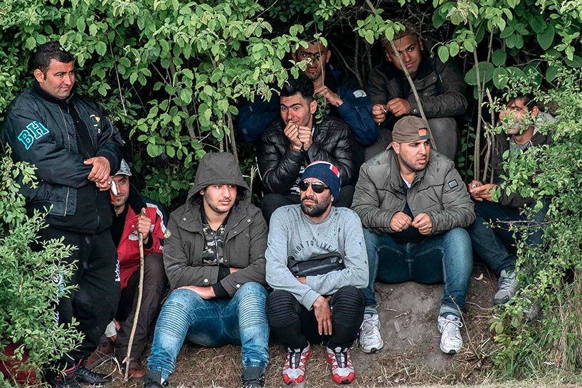 Kürt göçmenler ormanda yaşıyor