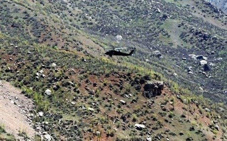 Astsubay çatışmada öldü