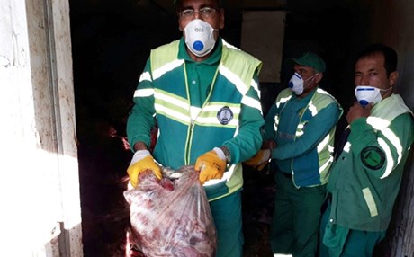 لە دیلۆک دەستبەسەر سێ تۆن و نیو گۆشتی ئەسپ و گوێدرێژدا گیرا