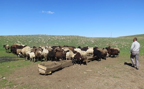 Projeya Pêşxistina Ajaldariyê: Serê malê 20 mih