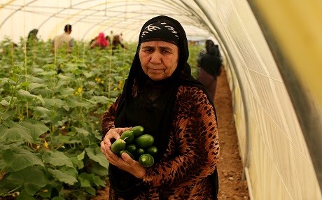 Erbil’de kadın göçzedeler için sera