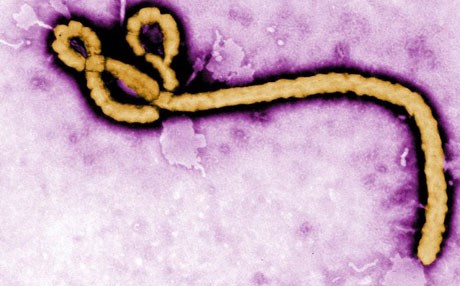 کۆنگۆی دیموکرات بڕیاریدا پێکوتەیەکی ئەزموونی دژی ئیبۆلا بەکاربهێنێ