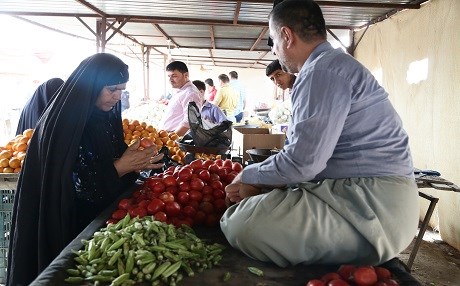 Li Herêma Kurdistanê her sal çend kîlo bacan tê xwarin?