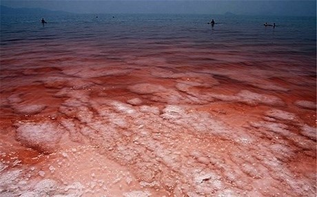 Urmiye Gölü kırmızıya büründü