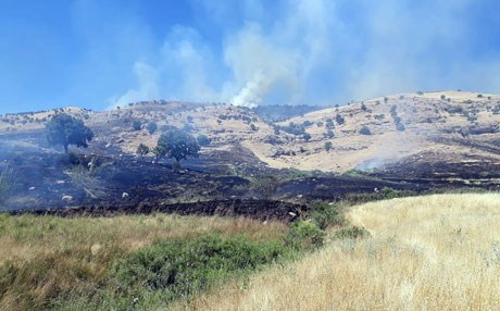 TSK’dan Mergesor’a top atışı