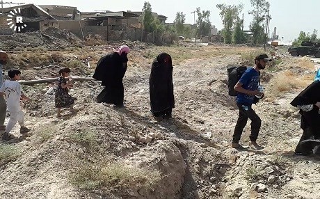 MUSUL - Sayı 900 bine ulaştı