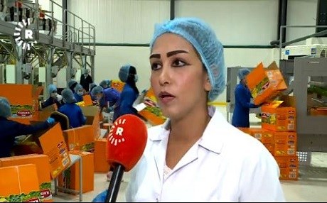 Kargeheke cipsan derfeta kar daye 35 jinên koçber