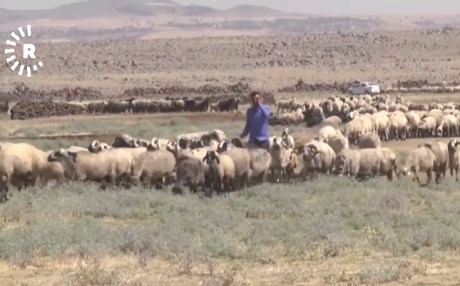 BAKÛRÊ KURDISTANÊ – Germa havînê bandore li sewalan jî dike