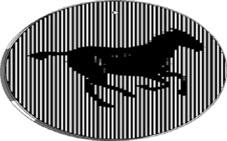 Biyolojik hafıza sistemi için dev adım