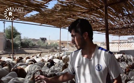 Ajeldarên Hesekê ji buhabûna êm û nexweşiyan bi gazind in