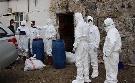 Kars'ta kuş gribi şüphesi