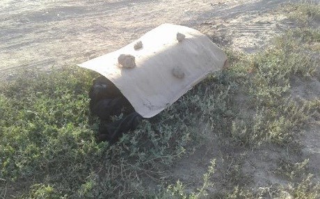 Doğubayazıt’ta kadın cesedi bulundu