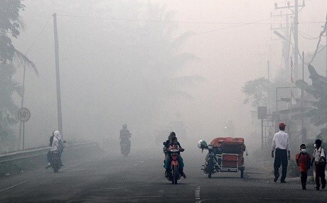 Kasıtlı orman yakanlar için 'vur' emri