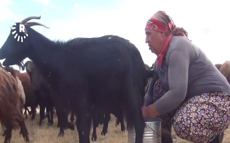 GIMGIM – Çanda bêrîvaniyê ji holê radibe