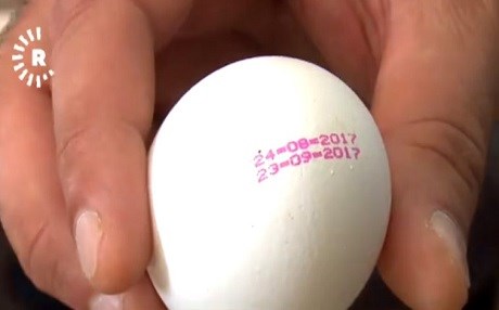 Bi hezaran hêk berî dema çêbûnê li bazarê hatine belavkirin