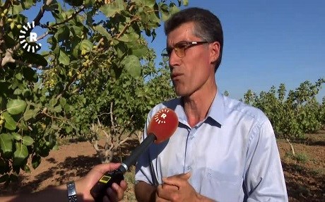 MÊRDÎN – Gundiyên Bektaşê bangewaziya çandina darên fistiqan dikin