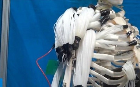 Sentetik kas üretmeyi başardılar