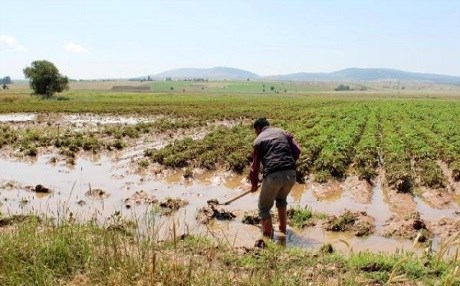 Su borusundan cenin çıktı