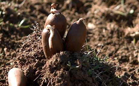 سنووری کوردستان بە داربەڕوو لە عێراق جیادەکرێتەوە