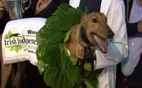 Kokain verip yarıştırdılar