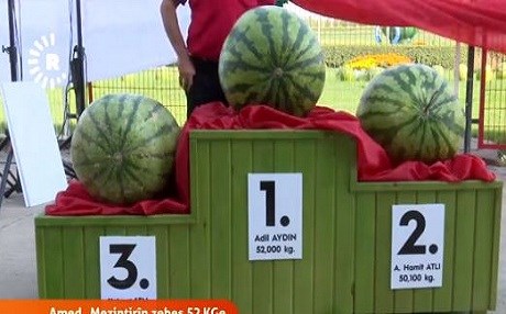 Mezintirîn zebeşên Amedê hatin hilbijartin