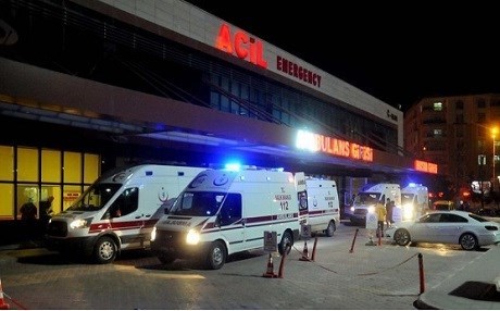 Li Amedê 2 cerdevan hatin kuştin