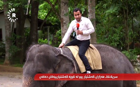 RÛDAW TAYBET – Fîl geştiyaran dikişin Srî Lankayê