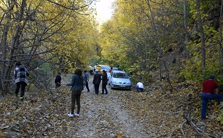 DÊRSIM – Ji bo danasîna gundî derketin xewazayê