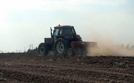 وەزارەتی کشتوکاڵ بنەتۆو بەسەر جووتیاراندا دابەش ناکات