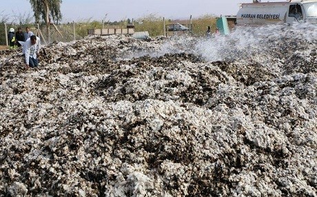 Urfa'da 105 ton pamuk yandı