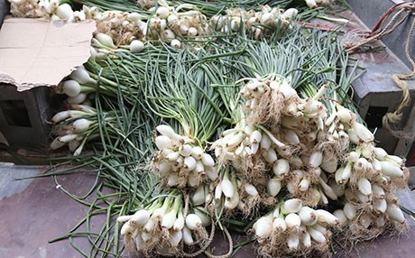 بەرهەمی پیاز لە ئاستی پێویستی زیاترە و هێشتاش هەر لە دەرەوە دێت