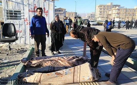 ‘İran medyası gerçekleri yansıtmıyor’