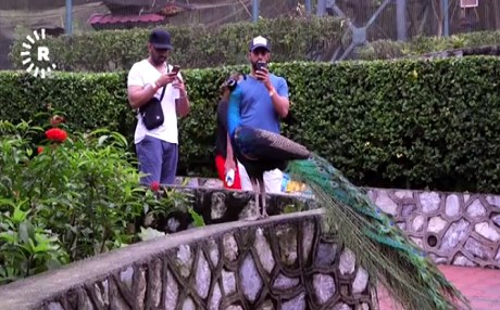 VÎDEO/RÛDAW TAYBET – Malezya biheşta geştiyariyê ye