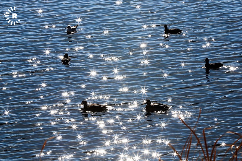 WÊNE - Deryaçeya Zirêbar biheşta balindeyan e