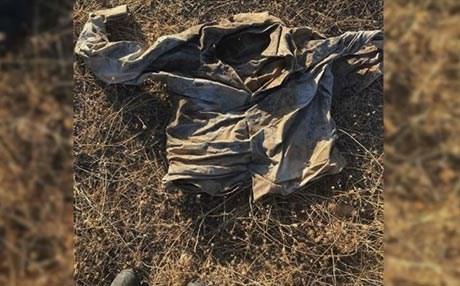 Lêkolînên li ser Komkujiya Şingalê rawestiyane