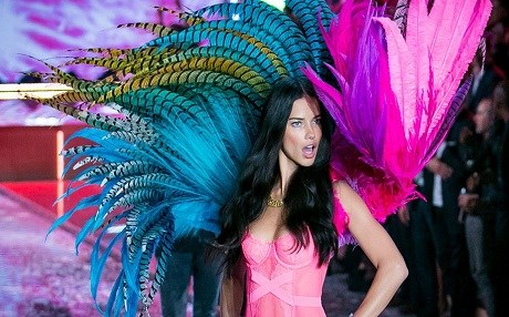 Modela navdar: Edî bê sedem ezê xwe tazî nekim