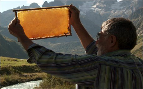 گاڤ و هەنگەوان كەوتنە سەر شاشەی سینەماكانی ئەڵمانیا