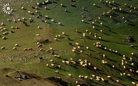 Fotoğraflarla Pencwin