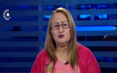Esmehan Dawûd: Projeyên ENKS û TEV-DEMê ji hev cuda ne