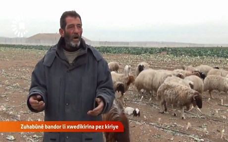 ROJAVAYÊ KURDISTANÊ – Hişkesalî bandorê li xwedîkirina ajelan jî dike