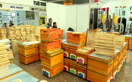 İstanbul’da arıcılık fuarı düzenlendi